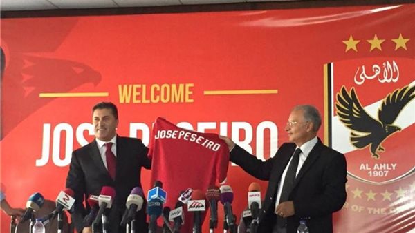 الاتحاد النيجيري