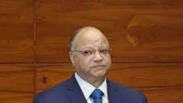 محافظ القاهرة