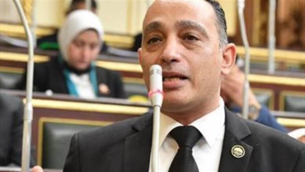 النائب فريدي البياضي