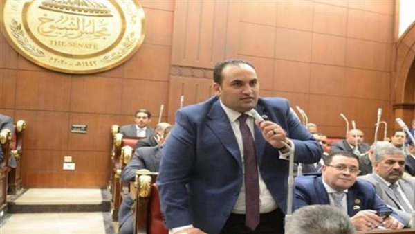 عضو مجلس الشيوخ