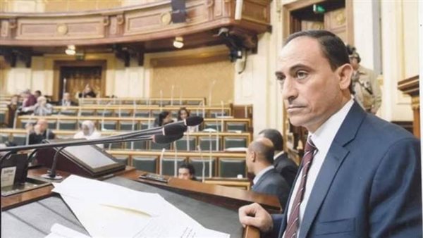 النائب محمد زين الدين