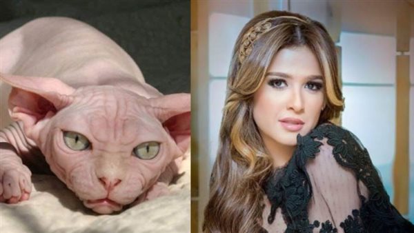 ياسمين عبد العزيز