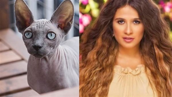 ياسمين عبد العزيز