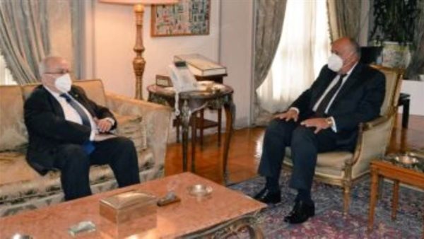 وزيرا خارجية مصر