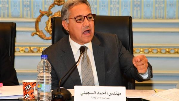 النائب احمد السجيني