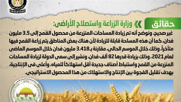 الحكومة تكشف حقيقة