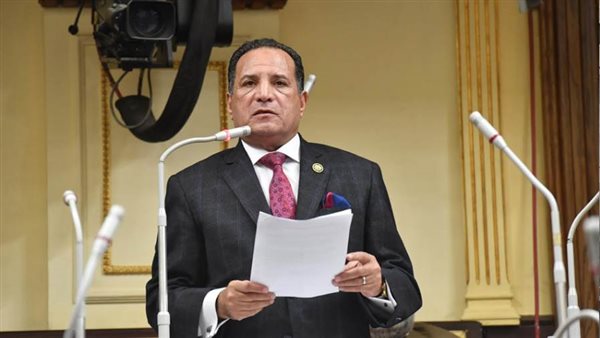 النائب محمد أبو هميلة