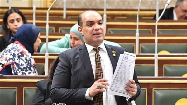 النائب علاء حمدي