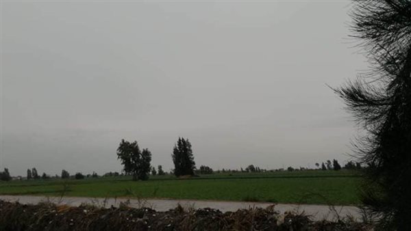 سقوط الأمطار