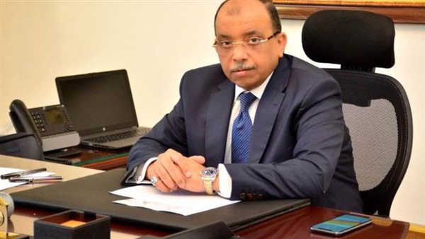 التنمية المحلية: