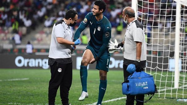 محمد الشناوي