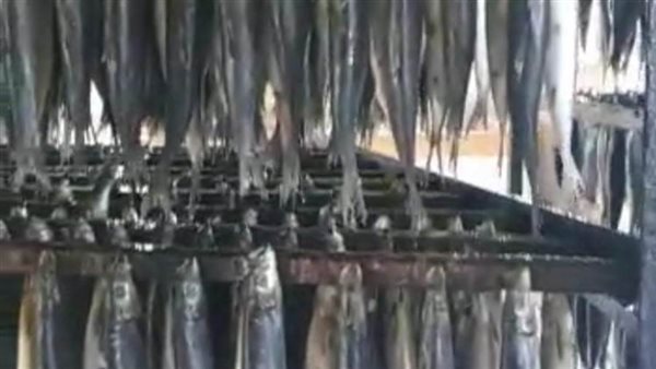 جانب من المضبوطات