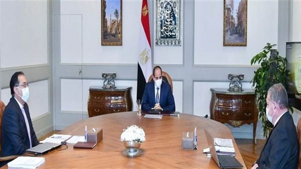 الرئيس السيسي يكلف