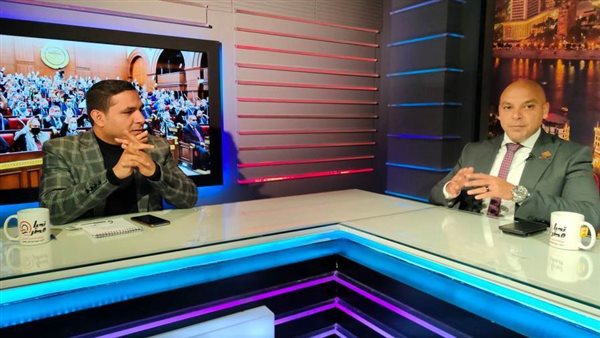 النائب محمود القط