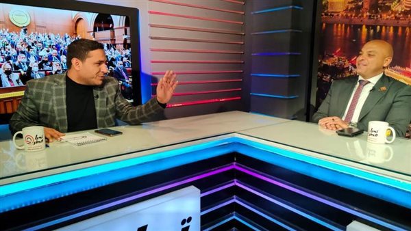 النائب محمود القط