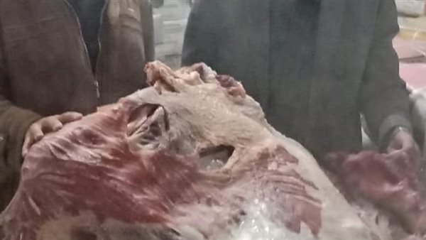 جانب من اللحوم