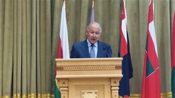 أحمد أبو الغيط: استقرار