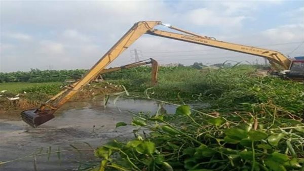 جانب من المتابعه