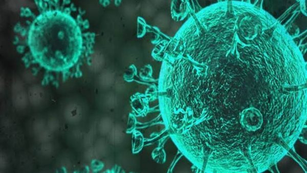 الصحة: 85 % نسبة