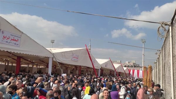 انتخابات الزمالك