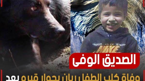 وفاة كلب الطفل ريان