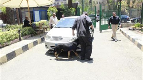 تامين المحاكم-ارشيفية