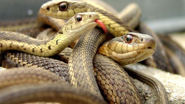 صورة تعبيرية