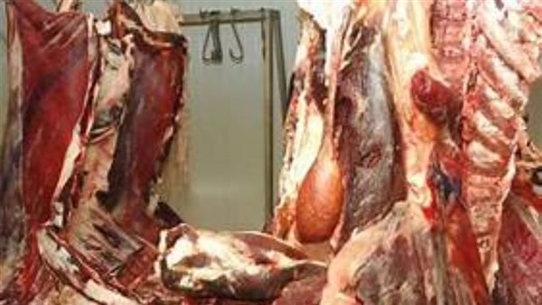 بيطرى قنا يضبط ٢٢٤