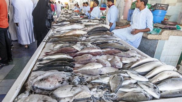 تراجع في أسعار الأسماك