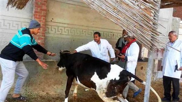 حملة الطب البيطرى