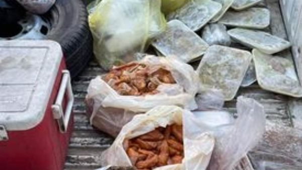 حملة الطب البيطرى