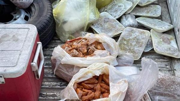 ضبط ١١ طنا من الدجاج