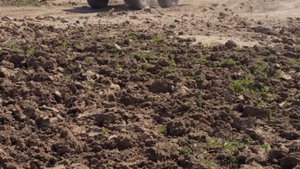 رفع تعديات على أملاك