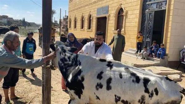 حملات الطب البيطري