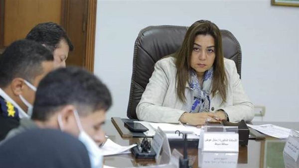 محافظ دمياط