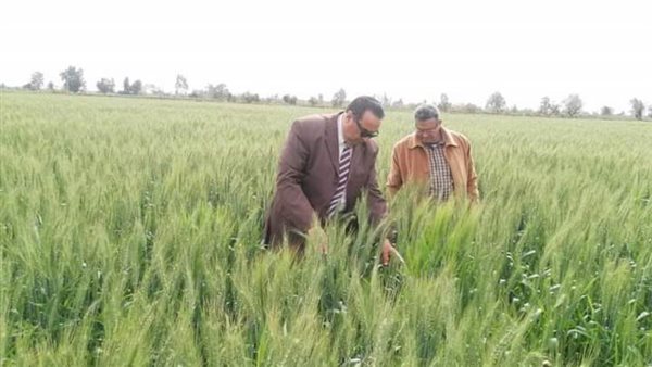 ألفا فدان زيادة في