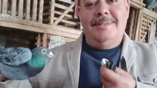 بوسطجى العشاق ..