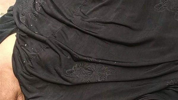 الست دولت سيدة الفيوم