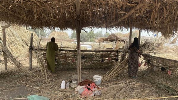 سيدات مصر العاملات