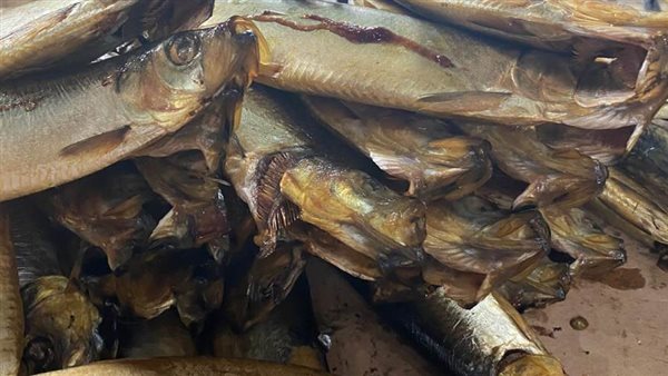 ضبط 631 كيلو لحوم