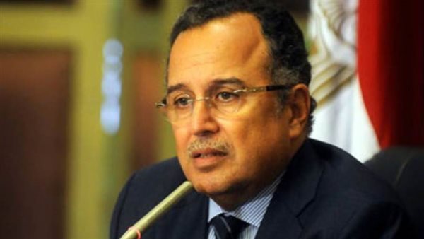 نبيل فهمي وزير الخارجية