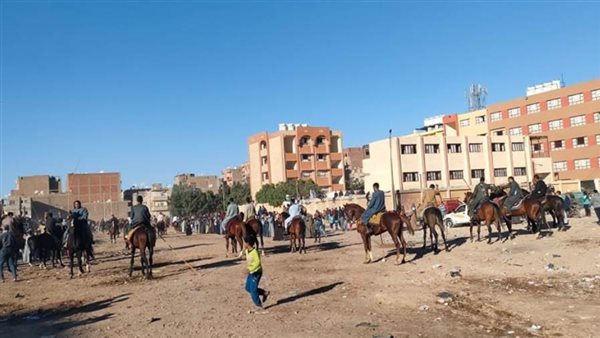 مولد سيدى القنائي