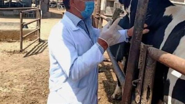 الطب البيطرى بالشرقية