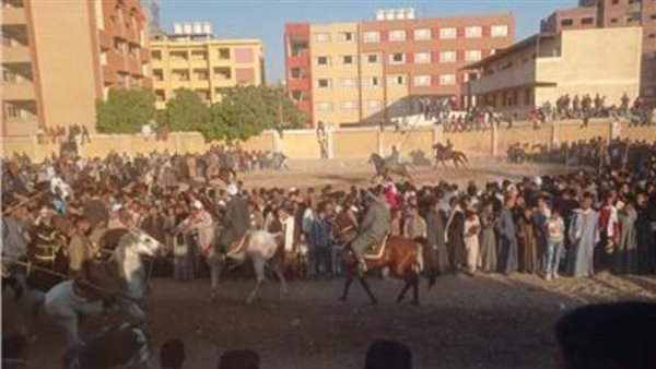 مولد سيدي القنائى