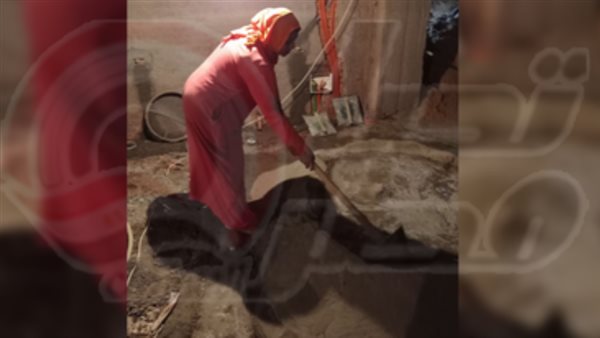 الست جملات مبيض المحارة