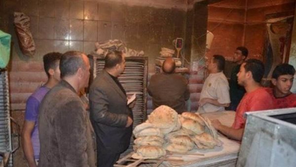 خملات تموينية بالبحيرة