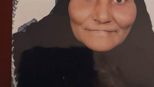 الأم المثالية فى