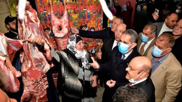 محافظ الغربية يتفقد