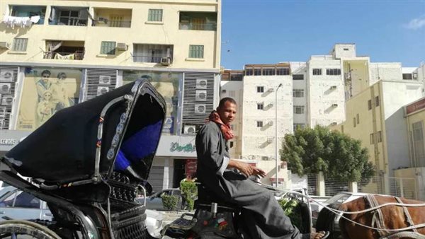 مهنة الحنطور