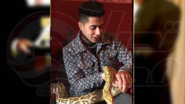 يربي تعابين فى منزله